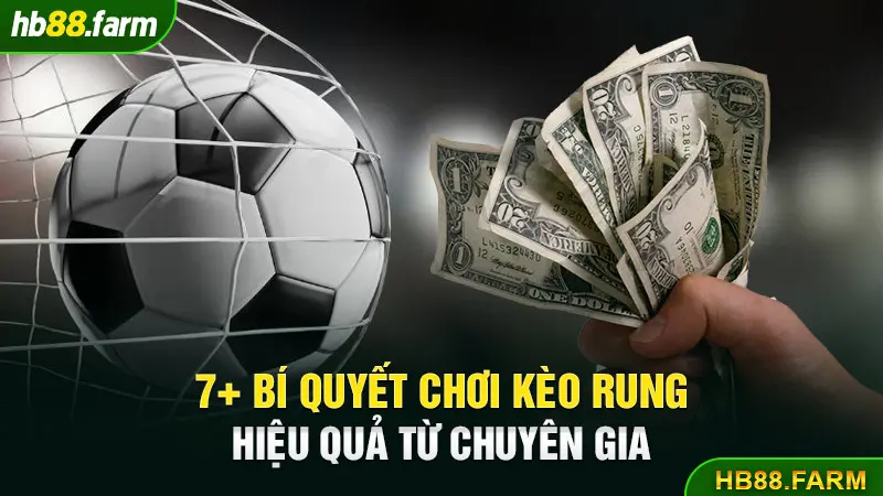 7+ bí quyết chơi kèo rung hiệu quả từ chuyên gia