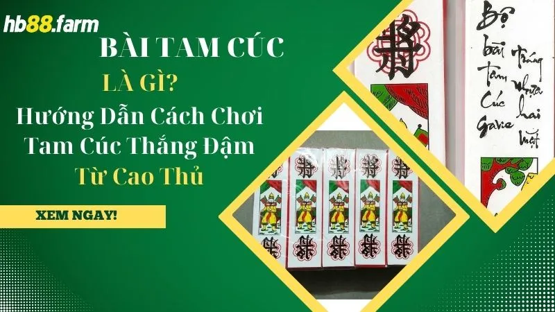 Bài Tam Cúc Là Gì? Hướng Dẫn Cách Chơi Tam Cúc Thắng Đậm