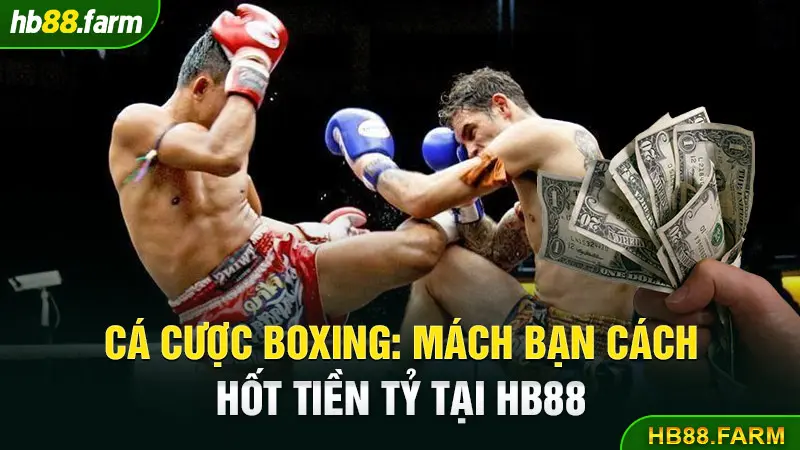 Cá Cược Boxing: Mách Bạn Cách Hốt Tiền Tỷ Tại Hb88