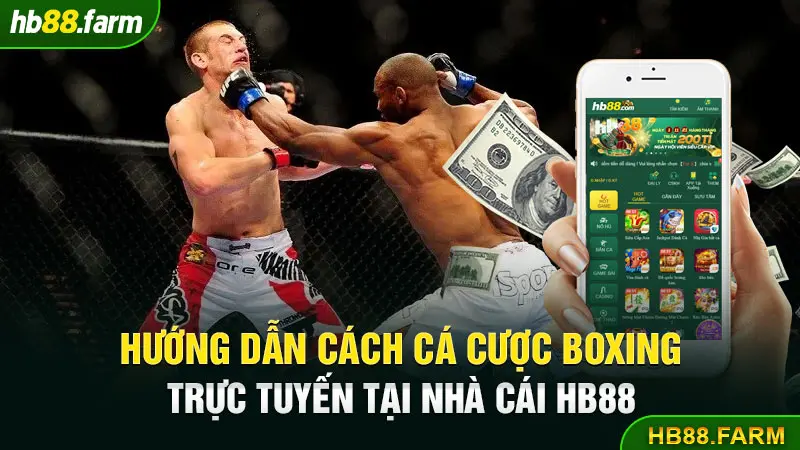 Hướng dẫn cách cá cược Boxing trực tuyến tại nhà cái HB88