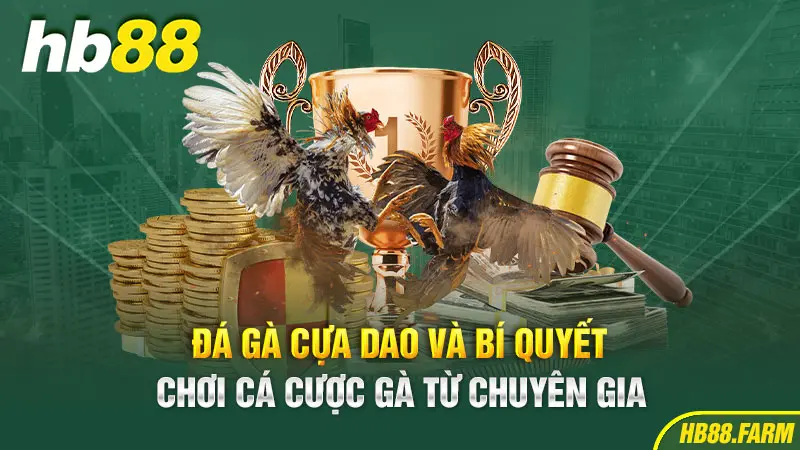 Đá gà cực dao và bí quyết chơi cá cược từ chuyên gia