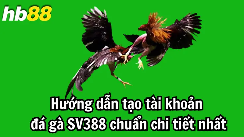 Hướng dẫn tạo tài khoản đá gà SV388 chuẩn chi tiết nhất