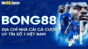 Bong88 - Nhà cái thể thao uy tín lâu đời tại Việt Nam