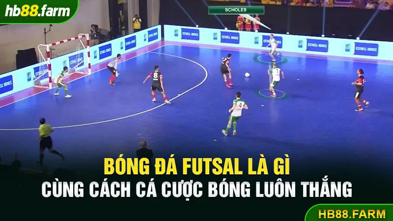 Bóng Đá Futsal Là Gì? Cách Cá Cược Bóng Luôn Thắng